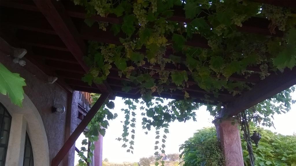 Bed And Breakfast Posserle Padenghe sul Garda Bagian luar foto